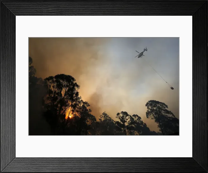 Framed Print : A helicopter carries water to be dropped on a bushfire in Castlereagh, near Sydney Framed Print : A helicopter carries water to be dropped on a bushfire in Castlereagh, near Sydney