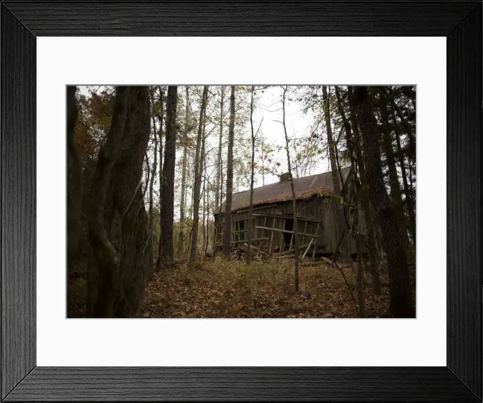 Framed Print : The Wider Image: The Legacy of King Cotton in the American South