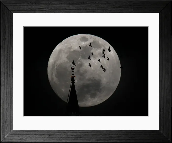 Framed Print : The full moon rises behind a mosque as birds fly in Amman Framed Print : The full moon rises behind a mosque as birds fly in Amman