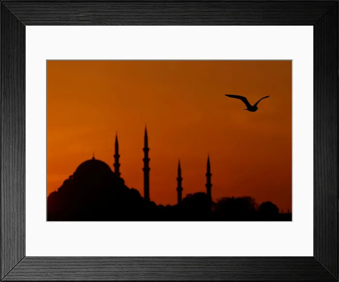 Framed Print : A seagull flies over the Bosphorus as the sun sets over the Suleymaniye mosque in Framed Print : A seagull flies over the Bosphorus as the sun sets over the Suleymaniye mosque in