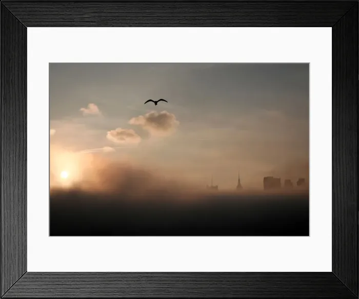 Framed Print : A seagull flies above the fog-shrouded skyline of New York City