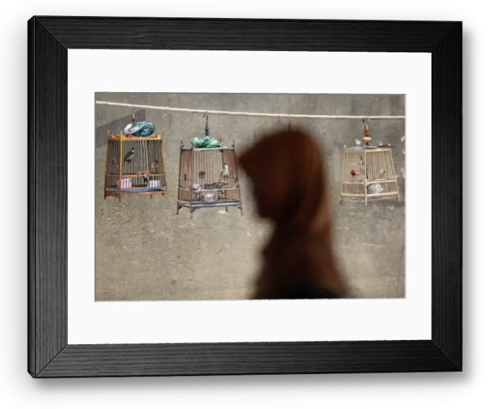 Framed Print : A woman walks past birdcages after she crossed the border from Malaysia into Thailand in