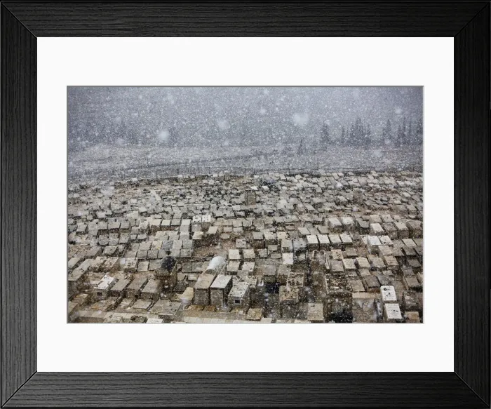 Framed Print : Snow falls on top of graves at the Mount of Olives cemetery in Jerusalem Framed Print : Snow falls on top of graves at the Mount of Olives cemetery in Jerusalem