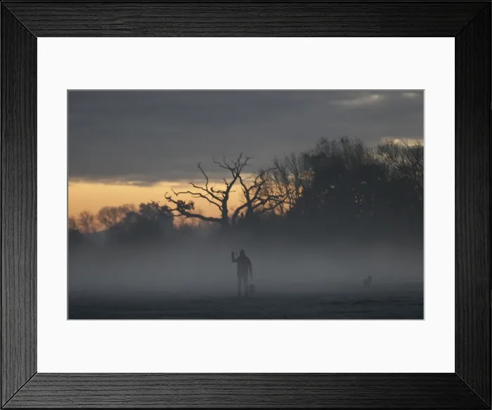 Framed Print : A woman walks dogs through morning mist in Quorn