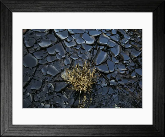Framed Print : A polluted area caused by an oil spill is seen at the Evrona desert reserve Framed Print : A polluted area caused by an oil spill is seen at the Evrona desert reserve