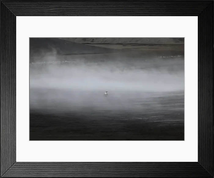 Framed Print : The Wider Image: Journey to Antarctica: seals, penguins and glacial beauty Framed Print : The Wider Image: Journey to Antarctica: seals, penguins and glacial beauty