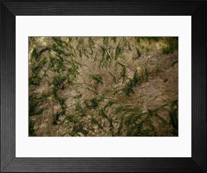 Framed Print : The Wider Image: Londons dark river and its secrets Framed Print : The Wider Image: Londons dark river and its secrets