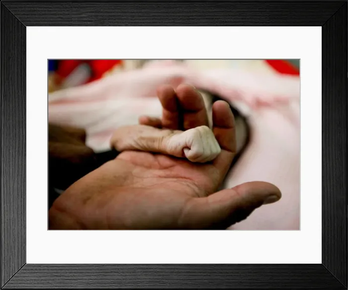 Framed Print : Pictures of the Year Framed Print : Pictures of the Year
