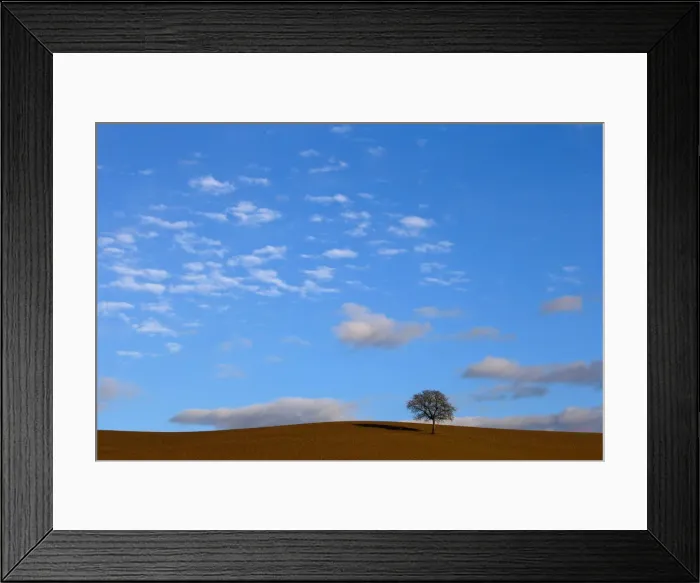 Framed Print : A tree is seen in Val D Orcia Framed Print : A tree is seen in Val D Orcia