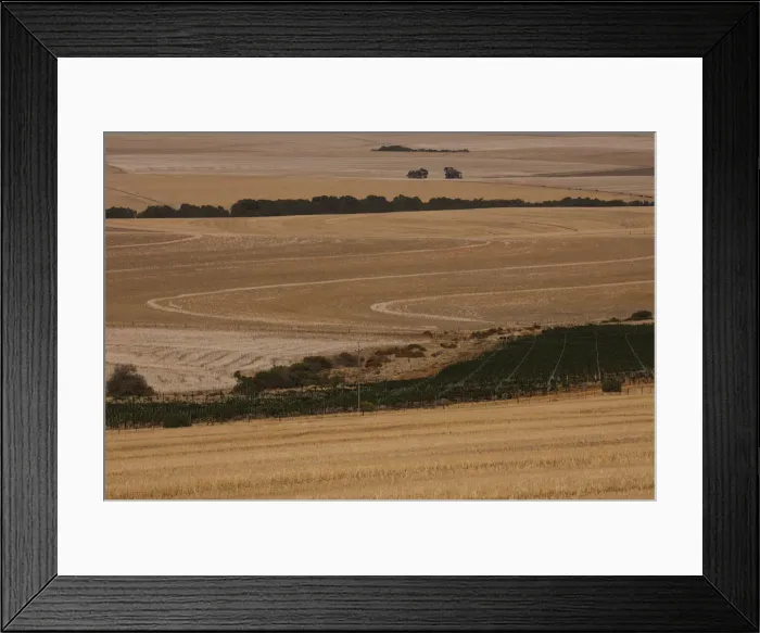 Framed Print : Fields of harvested wheat are seen near Cape Town Framed Print : Fields of harvested wheat are seen near Cape Town
