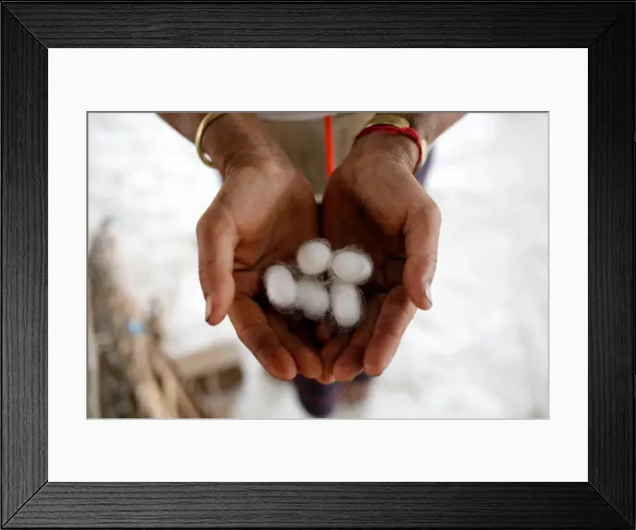 Framed Print : The Wider Image: Myanmar hills embrace silkworms over poppies Framed Print : The Wider Image: Myanmar hills embrace silkworms over poppies