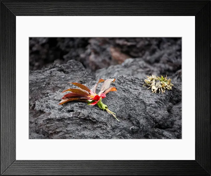 Framed Print : A bouquet and a lei rest on a lava flow in the Leilani Estates subdivision during ongoing