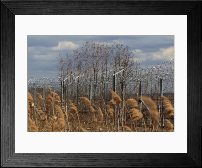 Framed Print : The Wider Image: In Hungary, one fence comes down, another goes up Framed Print : The Wider Image: In Hungary, one fence comes down, another goes up
