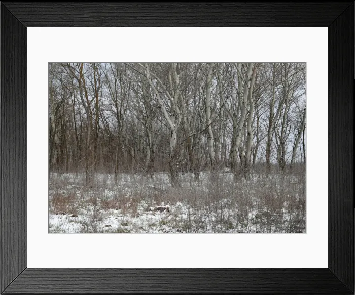 Framed Print : The Wider Image: In Hungary, one fence comes down, another goes up
