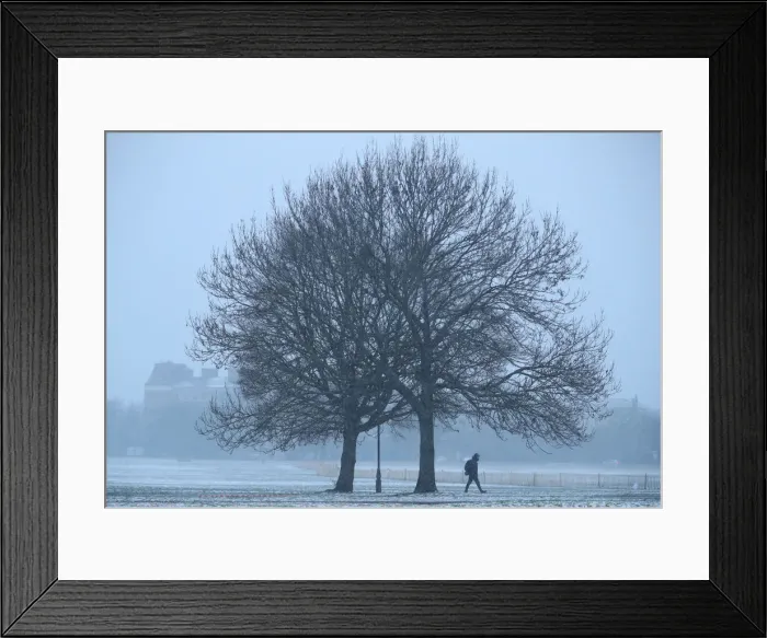 Framed Print : A walker crosses a snow-covered Clapham Common in London Framed Print : A walker crosses a snow-covered Clapham Common in London