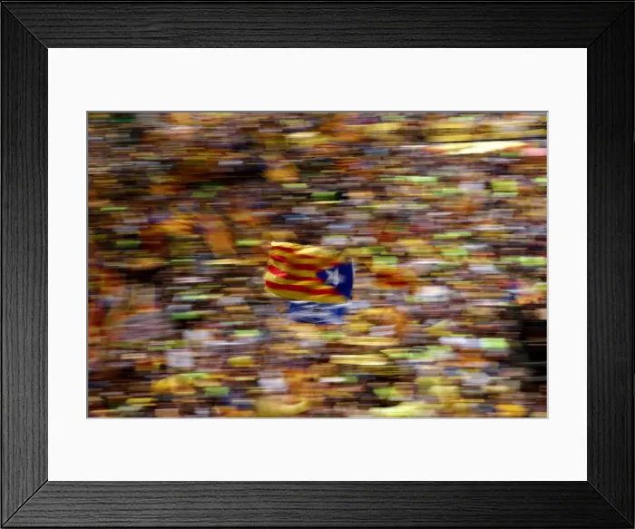 Framed Print : A pro-independence supporter waves a Catalan separatist flag, known as Estelada Framed Print : A pro-independence supporter waves a Catalan separatist flag, known as Estelada