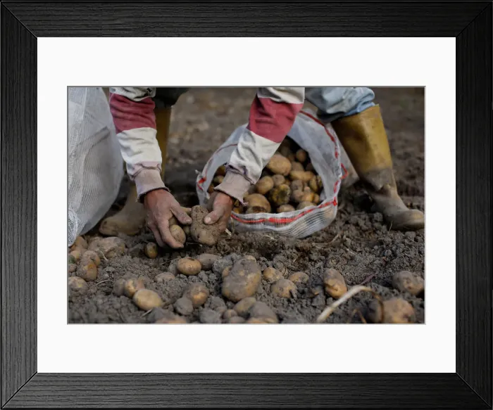 Framed Print : The Wider Image: Mad Max violence stalks Venezuelas lawless roads Framed Print : The Wider Image: Mad Max violence stalks Venezuelas lawless roads