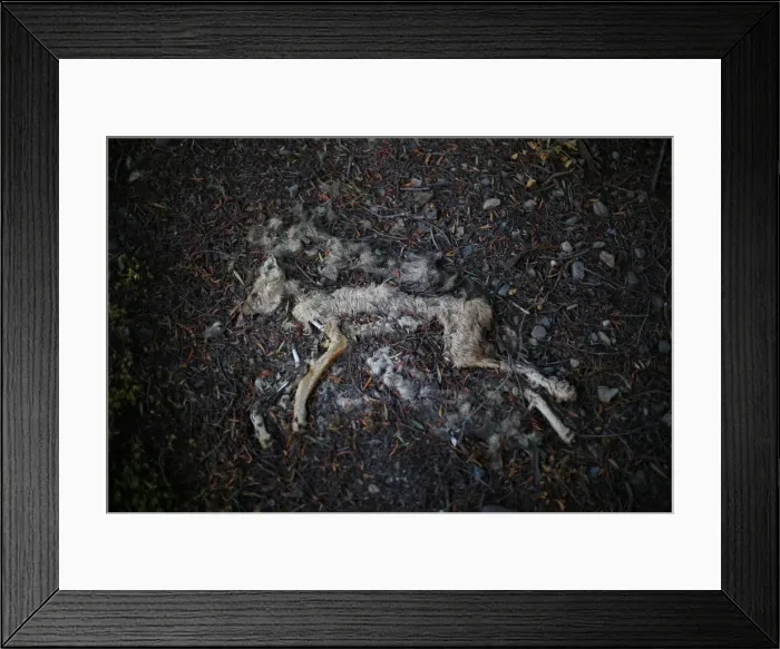Framed Print : The Wider Image: Chiles tiny Til Til faces big trash problem Framed Print : The Wider Image: Chiles tiny Til Til faces big trash problem