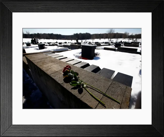 Framed Print : Flowers are seen at the World War Two memorial in the former village of Khatyn Framed Print : Flowers are seen at the World War Two memorial in the former village of Khatyn