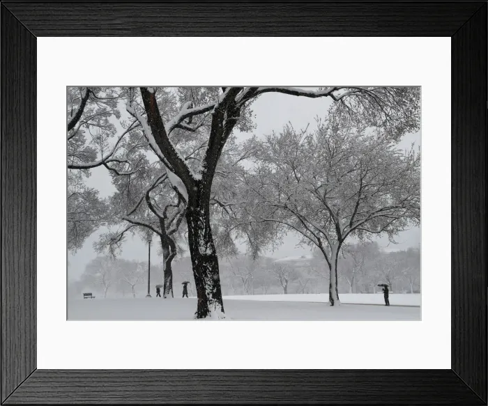 Framed Print : People walk through the snow near the National Mall in Washington Framed Print : People walk through the snow near the National Mall in Washington
