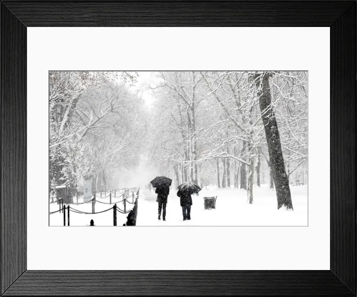 Framed Print : Spring snowfall in Washington, D. C
