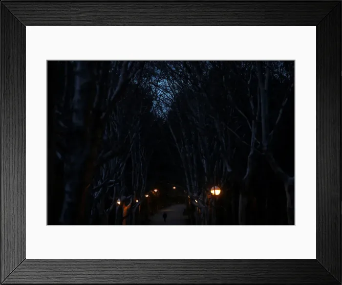 Framed Print : A man takes a walk at a park in Madrid Framed Print : A man takes a walk at a park in Madrid