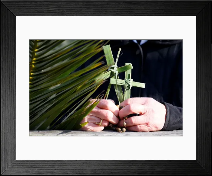 Framed Print : Pope Francis leads the Palm Sunday Mass in Saint Peters Square at the Vatican Framed Print : Pope Francis leads the Palm Sunday Mass in Saint Peters Square at the Vatican