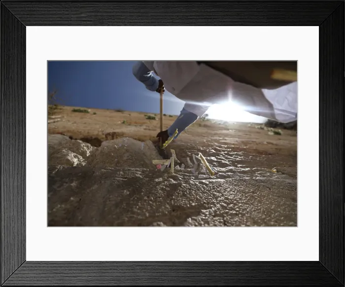 Framed Print : A man uses a stick to clear notes placed in the cracks of the Western Wall Framed Print : A man uses a stick to clear notes placed in the cracks of the Western Wall