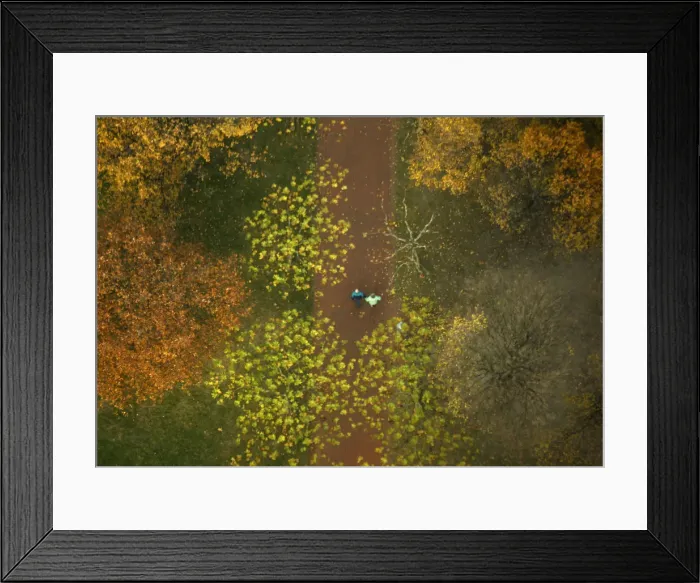 Framed Print : A couple strolls in a park during sunny weather in Duesseldorf Framed Print : A couple strolls in a park during sunny weather in Duesseldorf