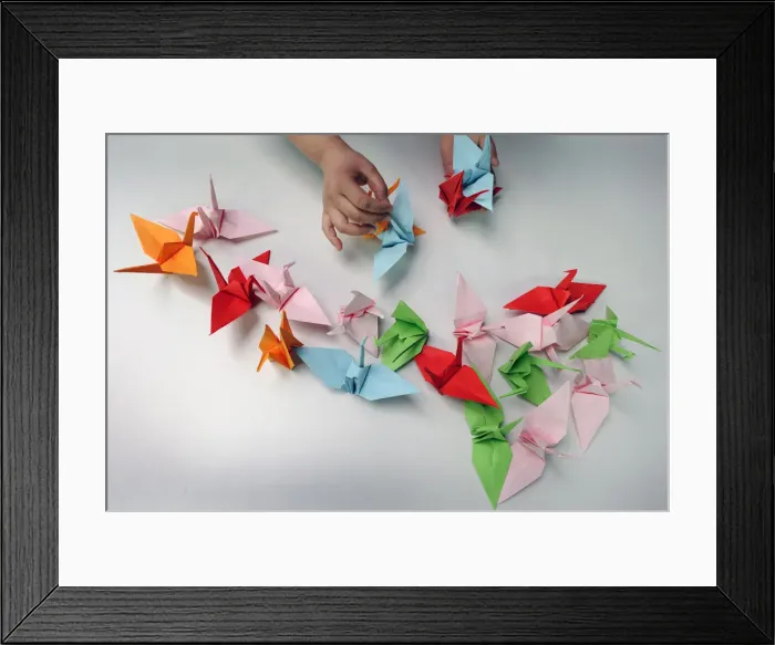 Framed Print : A helper lays paper cranes on a table during a origami session called Senbazuru in favour Framed Print : A helper lays paper cranes on a table during a origami session called Senbazuru in favour