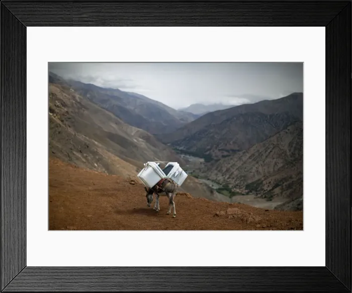 Framed Print : A donkey transports ballot boxes to villages unreachable by vehicles in Panjshir province