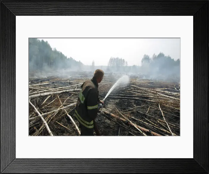 Framed Print : A firefighter works to extinguish a peat fire in a forest near the town of Shatura Framed Print : A firefighter works to extinguish a peat fire in a forest near the town of Shatura