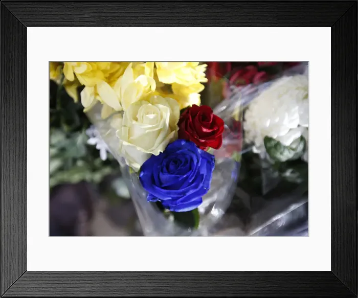 Framed Print : A floral tribute of roses in the colours of Frances national flag is left in memory of Framed Print : A floral tribute of roses in the colours of Frances national flag is left in memory of