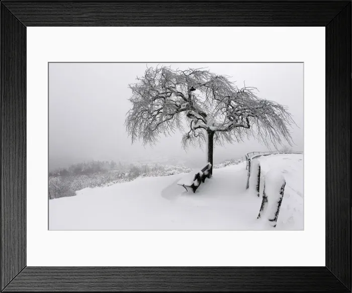 Framed Print : General view of a country scene with a tree covered with freshly-fallen snow in Dabo Framed Print : General view of a country scene with a tree covered with freshly-fallen snow in Dabo