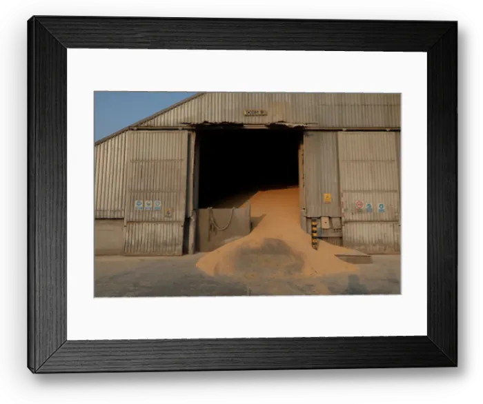 Framed Print : Corn imported from Brazil is stored at a warehouse in Tuxpan Framed Print : Corn imported from Brazil is stored at a warehouse in Tuxpan