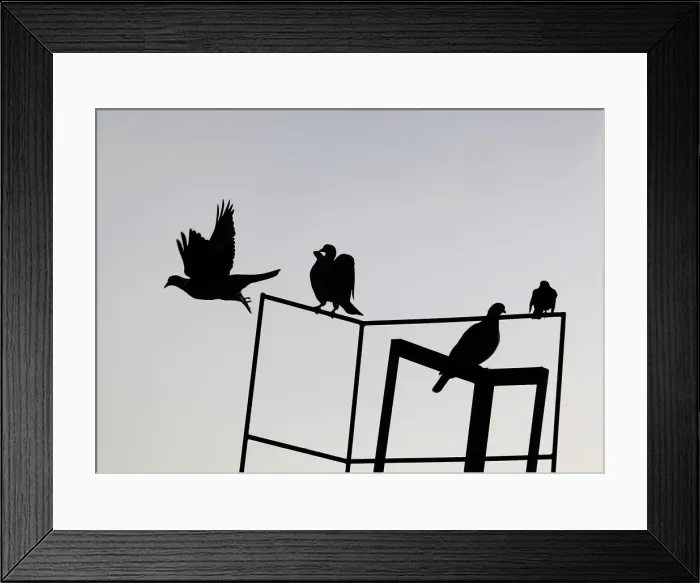 Framed Print : Birds sit on a roof in Berlin as one flies off