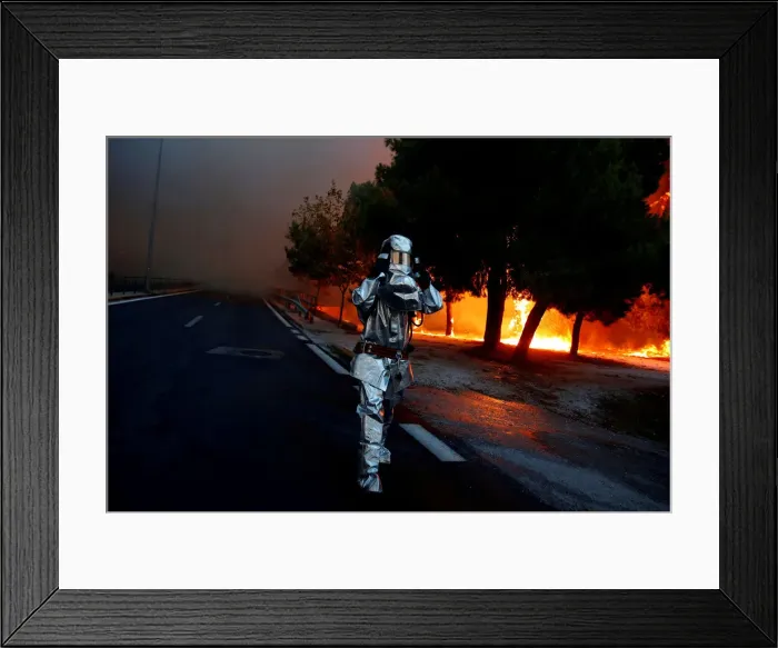 Framed Print : Pictures of the Year