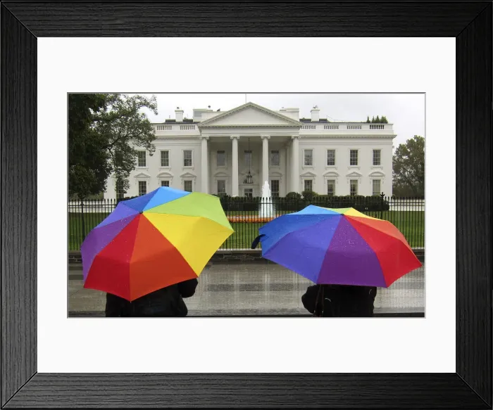 Framed Print : Sightseers holding umbrellas stop in front of the White House on a rainy day in Framed Print : Sightseers holding umbrellas stop in front of the White House on a rainy day in