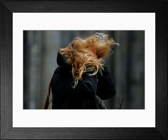 Framed Print : The hair of a woman is whirled during heavy storms in Cologne Framed Print : The hair of a woman is whirled during heavy storms in Cologne