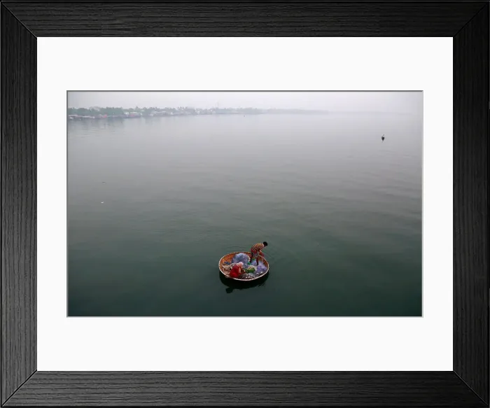 Framed Print : A fisherman and his wife catch fish in the waters of Vembanad Lake in Kochi Framed Print : A fisherman and his wife catch fish in the waters of Vembanad Lake in Kochi