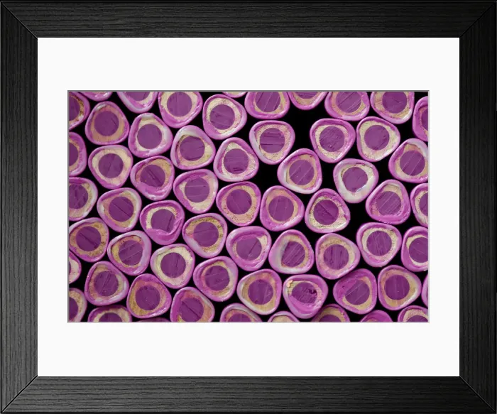 Framed Print : Wood-cased coloured pencils are pictured during their production at Faber-Castell