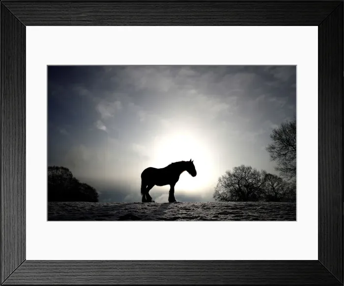 Framed Print : A horse stands in a snow covered field in Keele, Newcastle-under-Lyme