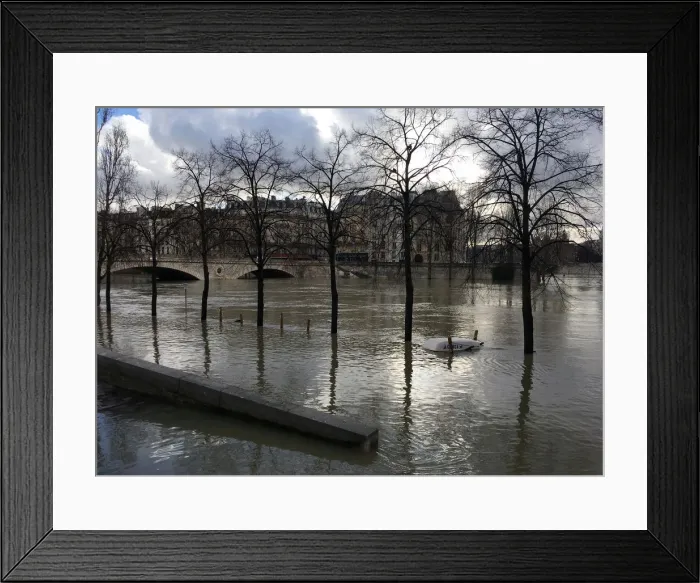 Framed Print : General view of the Seine River that overflows its banks as heavy rains throughout Framed Print : General view of the Seine River that overflows its banks as heavy rains throughout