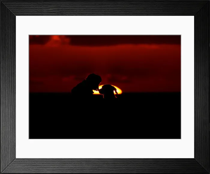Framed Print : A woman and her dog watch the sunset at Anchor Bay outside Mellieha Framed Print : A woman and her dog watch the sunset at Anchor Bay outside Mellieha
