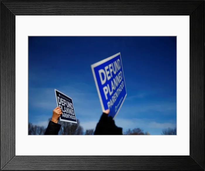 Framed Print : People attend the March for Life rally in Washington Framed Print : People attend the March for Life rally in Washington