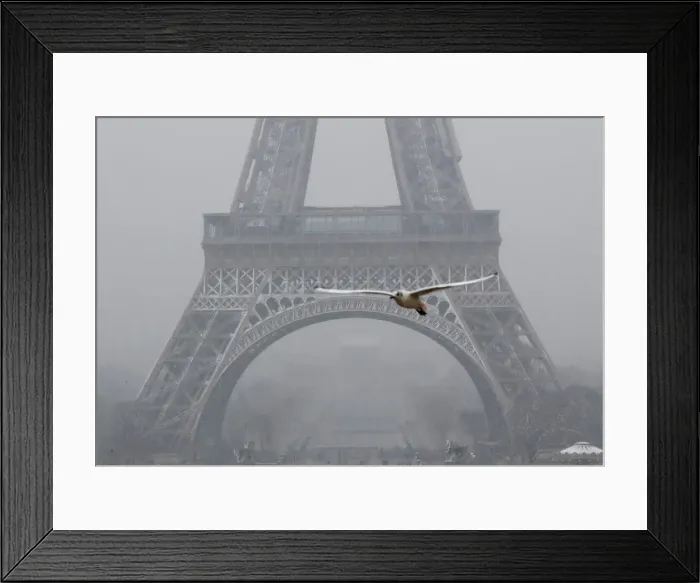 Framed Print : A seagull flies as snow falls near the Eiffel Tower in Paris Framed Print : A seagull flies as snow falls near the Eiffel Tower in Paris