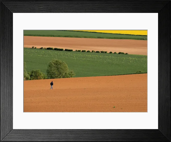 Framed Print : A farmer walks in his field in Avesnes-les-Aubert near Cambrai Framed Print : A farmer walks in his field in Avesnes-les-Aubert near Cambrai