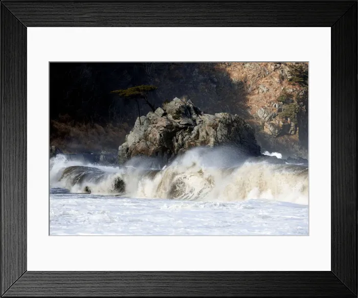 Framed Print : The Wider Image: After tsunami, some Japanese are feeling walled-in Framed Print : The Wider Image: After tsunami, some Japanese are feeling walled-in