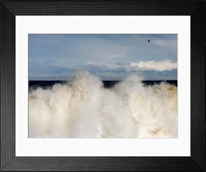 Framed Print : The Wider Image: After tsunami, some Japanese are feeling walled-in Framed Print : The Wider Image: After tsunami, some Japanese are feeling walled-in