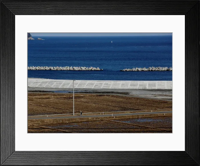 Framed Print : The Wider Image: After tsunami, some Japanese are feeling walled-in Framed Print : The Wider Image: After tsunami, some Japanese are feeling walled-in